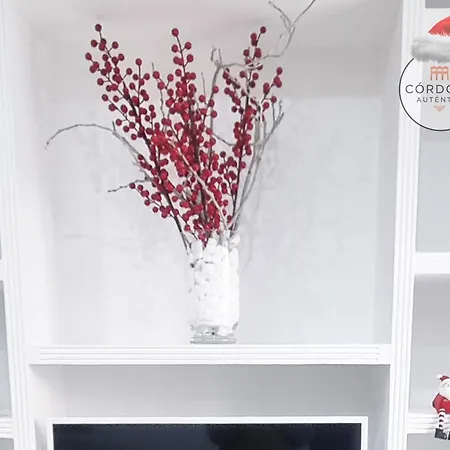 Apartment Santa Marina Cordoba